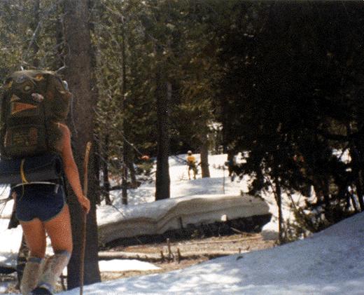 snow in the sierras