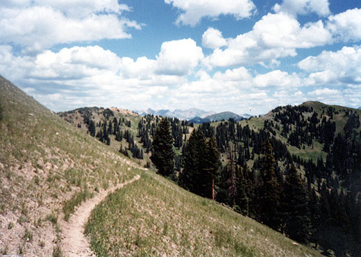 trail2_520x370.jpg