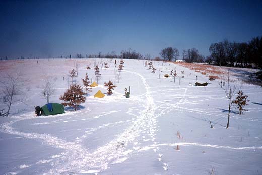 snowcg520x347.jpg