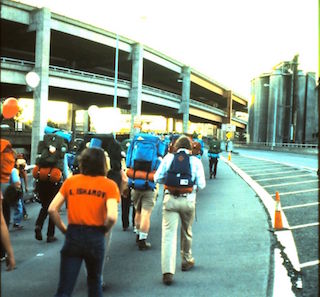 IMG--0011