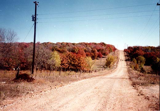 fall colors