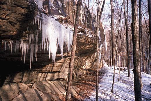 icicles