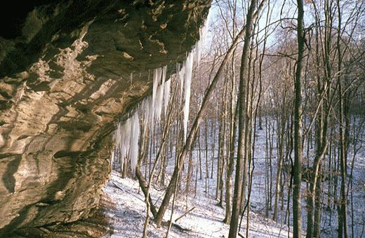 icicles3_520x340.jpg