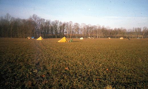 largefield520x314.jpg