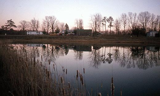 pond2_520x314.jpg