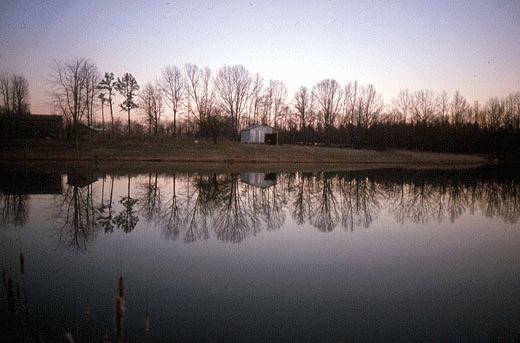 pond3_520x343.jpg