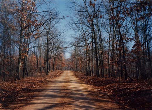 road520x378.jpg