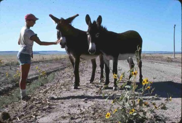 original--0117 Linda Santa Fe Trail