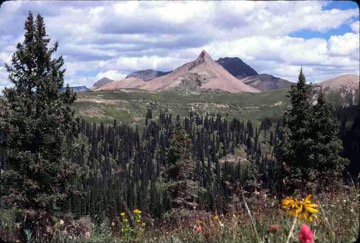 original--0075 San Juan National Forest, Colorado