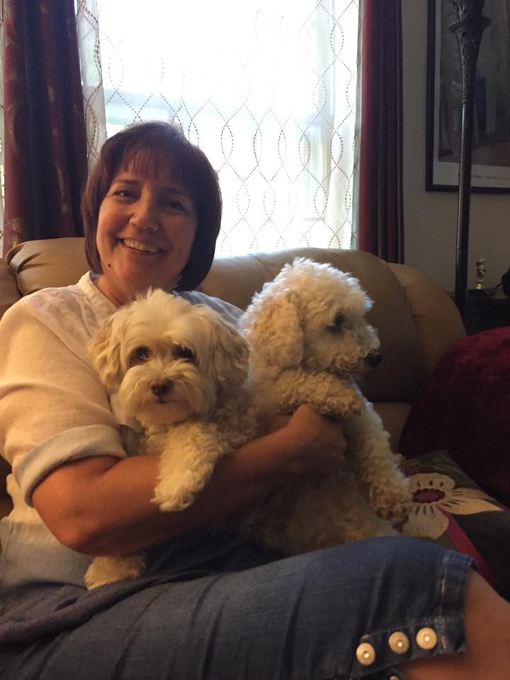 doggies