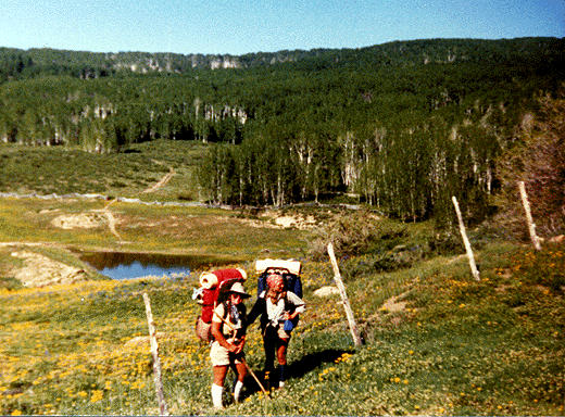 aspen field