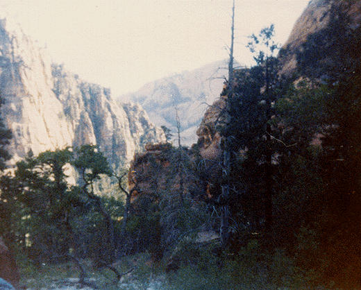 zion valley