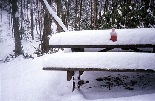 snow-cold beverage