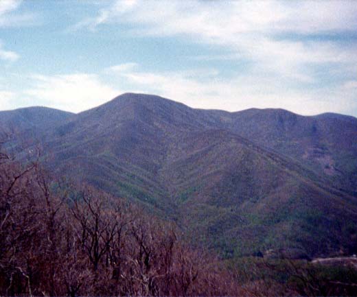 humpback mtn?